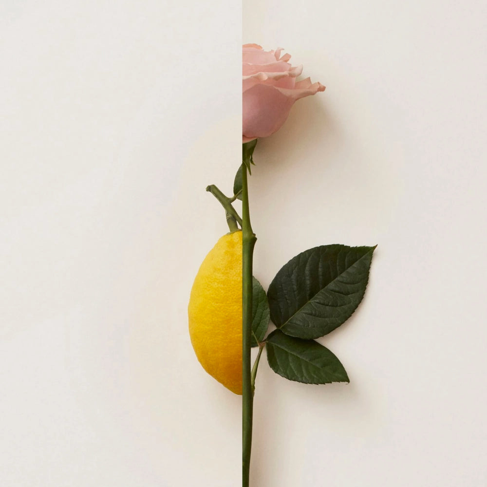 Rosa Limone - New Notes