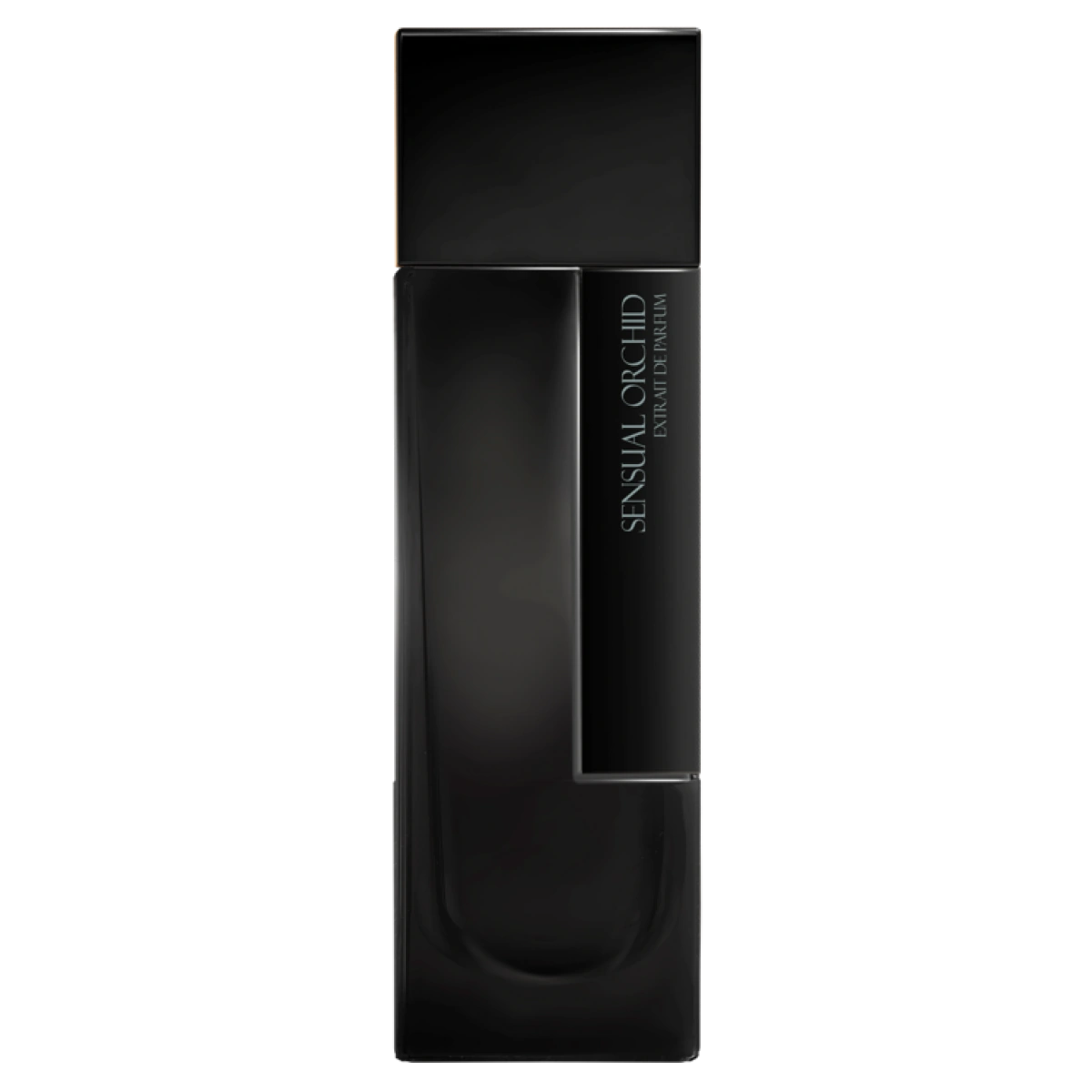 Sensual Orchid - Mazzone