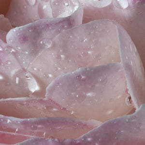 L'Eau a la Rose - Maison Francis Kurkdjian