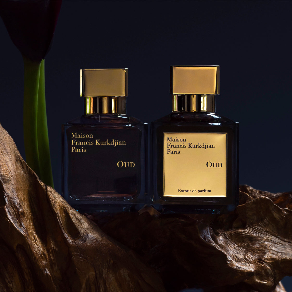 Oud - Maison Francis Kurkdjian