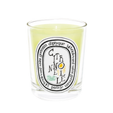 Candela Citronnelle- Diptyque