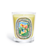 Candela Citronnelle- Diptyque