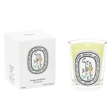 Candela Citronnelle- Diptyque