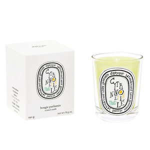 Candela Citronnelle- Diptyque