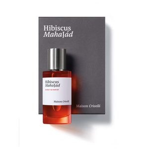 Hibiscus Mahajad  - Maison Crivelli