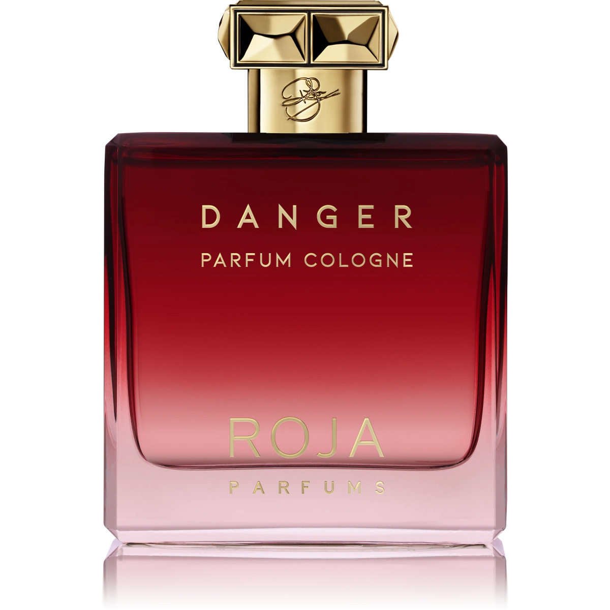 Danger Pour Homme Parfum Cologne - Roja
