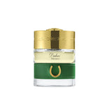 Meydan - The Spirit of Dubai