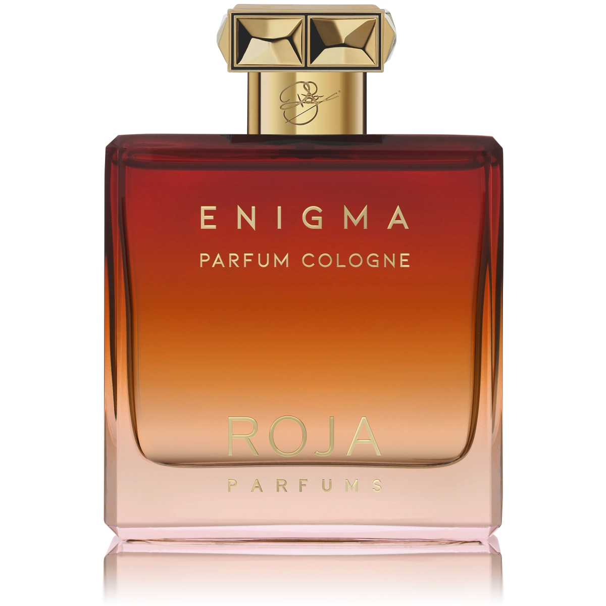 Enigma Pour Homme Parfum Cologne - Roja